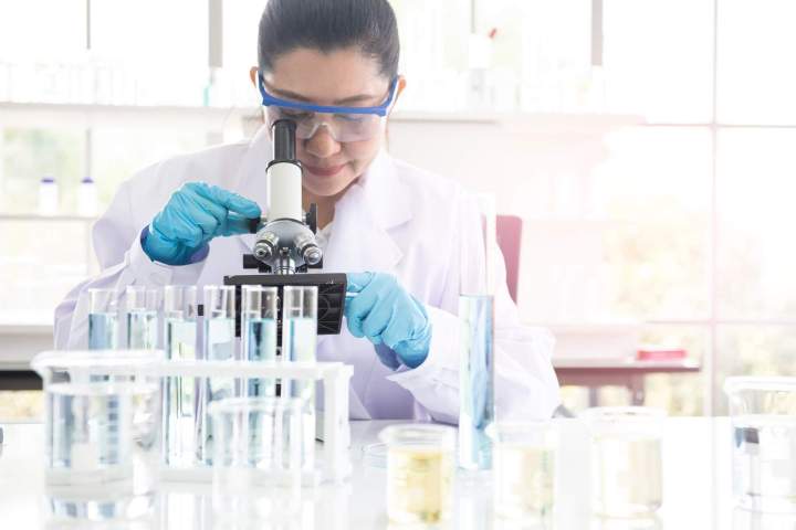 Audit halal laboratoire pharmaceutique en France