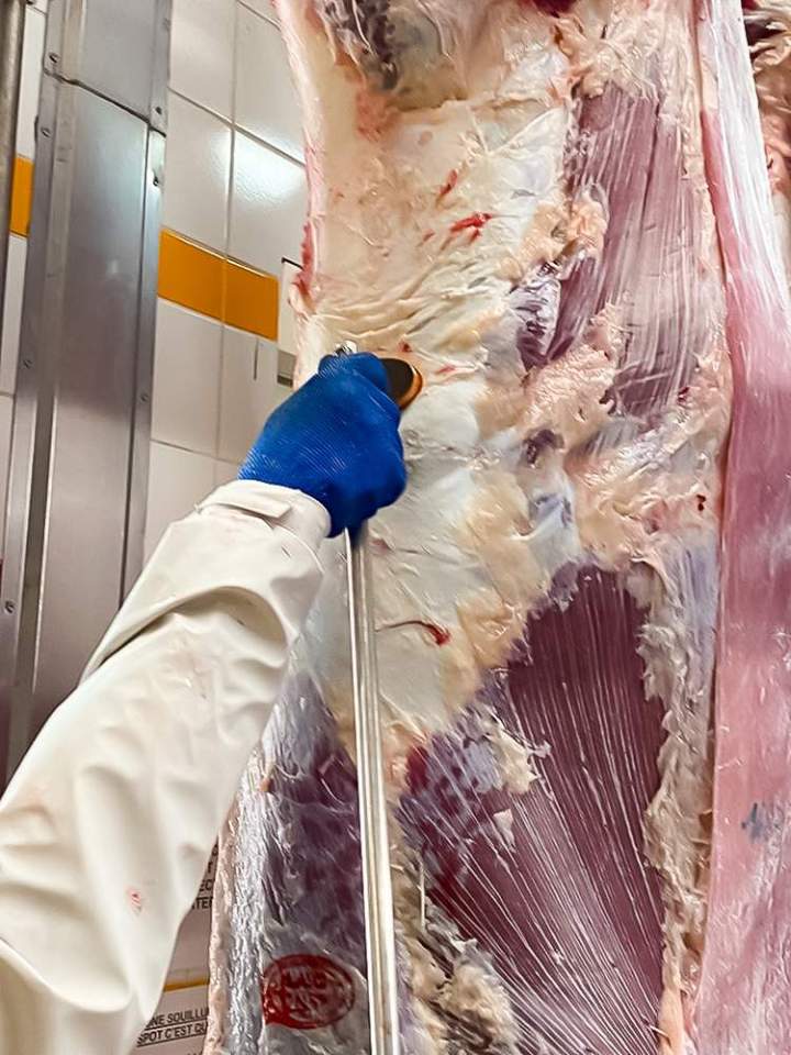 Experts en certification halal en France